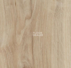 Кварцвиниловые полы Forbo Allura Click 60305CL5 light honey oak фото 1 | FLOORDEALER
